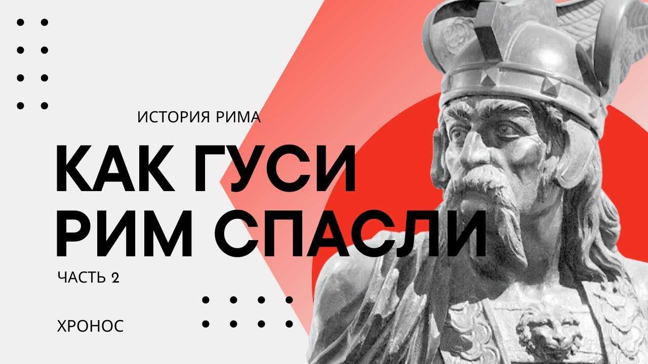 Странные причуды древнего рима: почему римляне приносили в жертву собак и почитали гусей