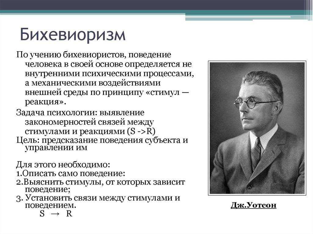 Теория бихевиоризма: определение, что это за подход, основатель и представители