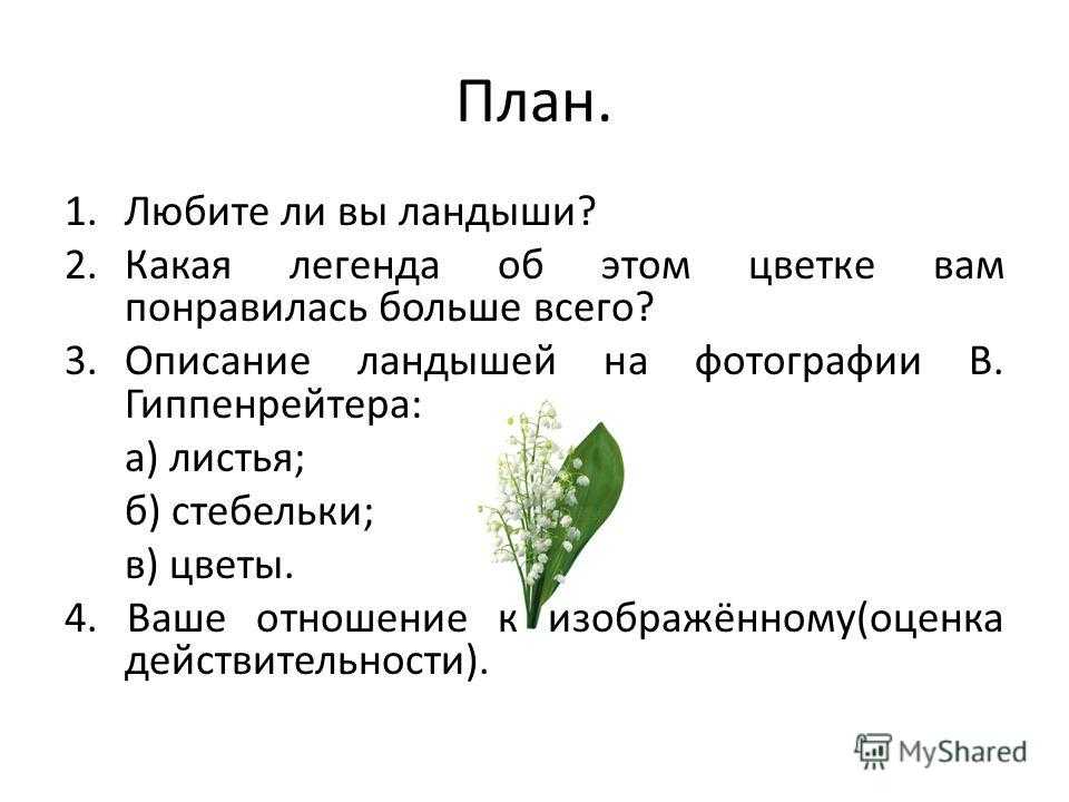 Сочинение мой любимый цветок (18 вариантов роза, ландыш, ромашка, тюльпан) 5 класс