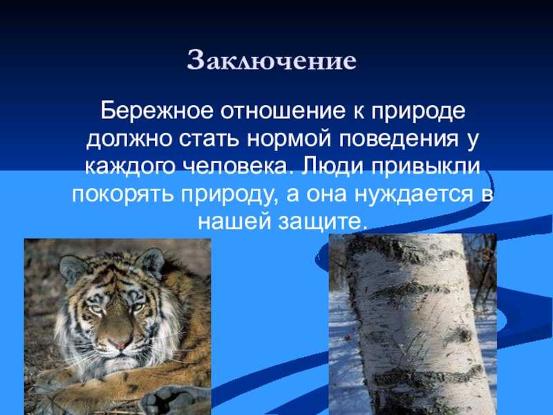 Берегите природу! топ-7 сочинений для 1-6 классов