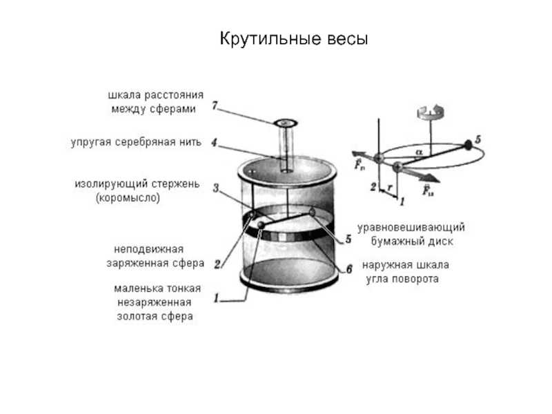 Что такое крутильные весы и как они работают