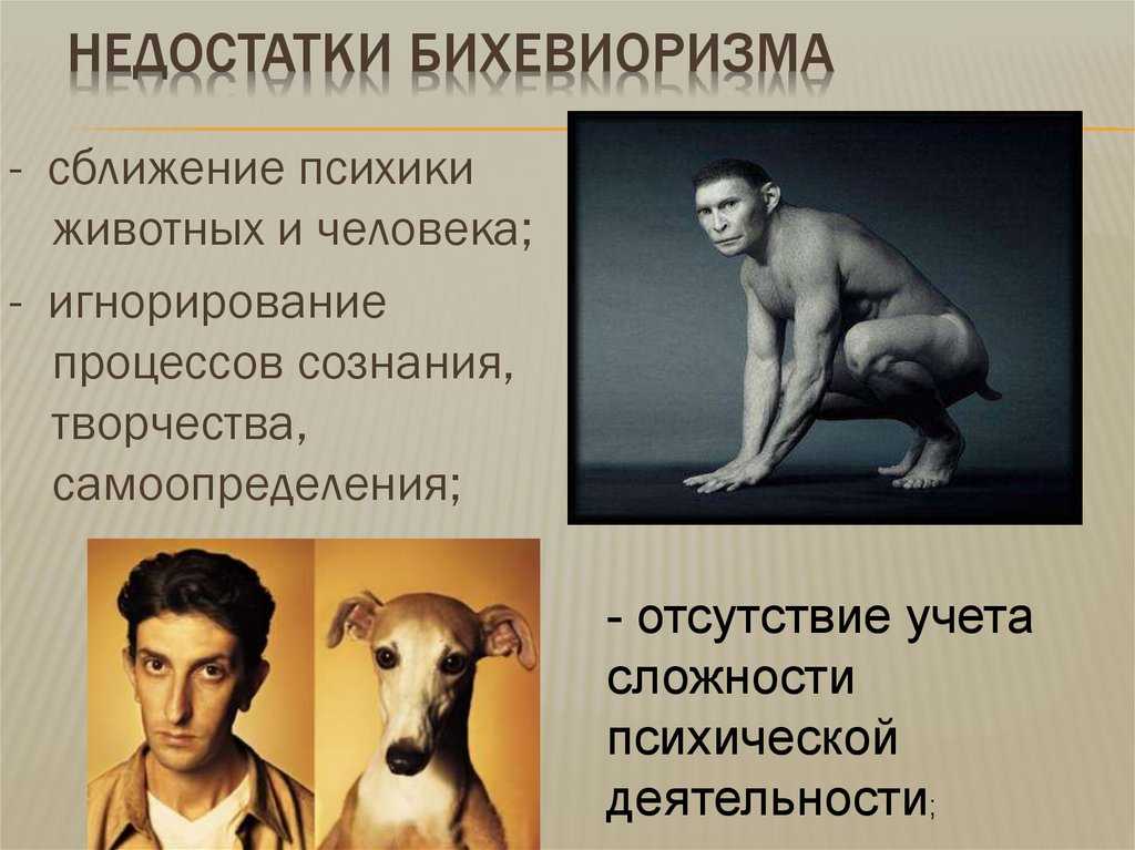 Бихевиоризм: что это в психологии?