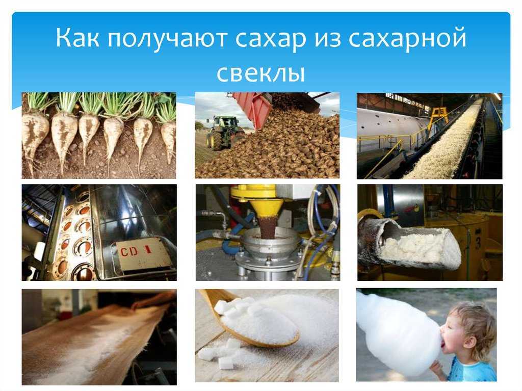 Технология производства сахара из сахарной свеклы