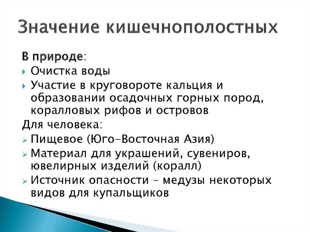 Тип кишечнополостные. общая характеристика, многообразие видов. класс гидроидные. класс сцифоидные. класс коралловые полипы – биология-репетитор – kaz-ekzams.ru