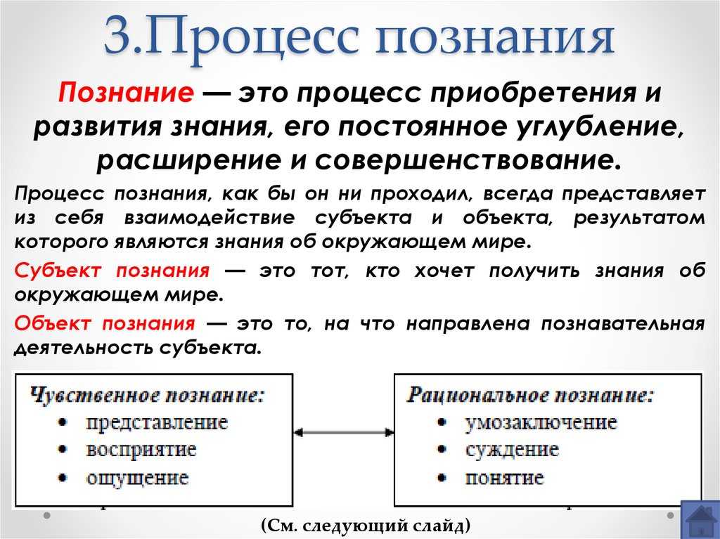 Что такое восприятие в обществознании кратко и понятно