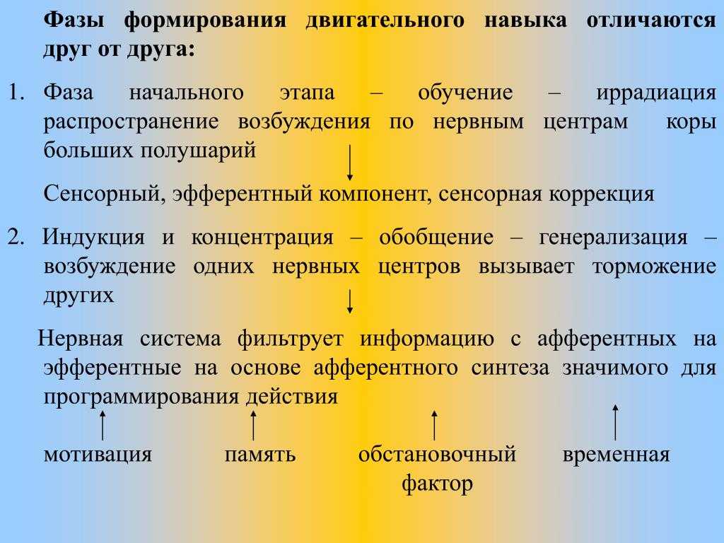 Основные моторные навыки наиболее важные характеристики / общая культура | thpanorama - сделайте себя лучше уже сегодня!