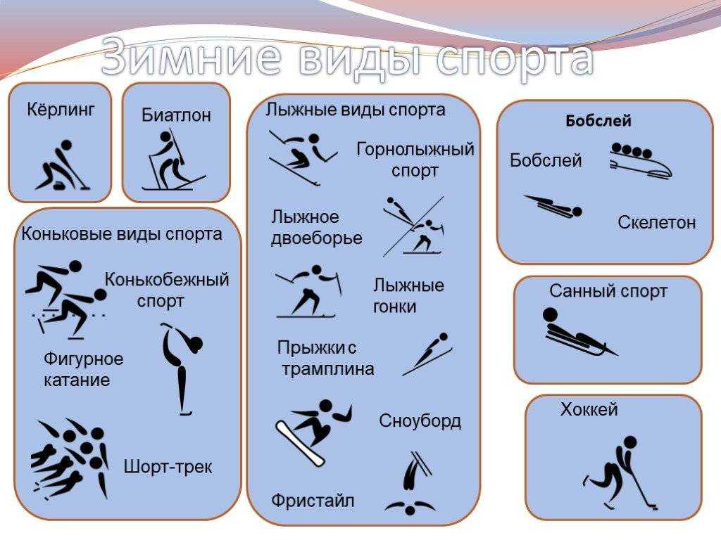 Лыжные гонки: описание, правила, виды, экипировка, трасса﻿