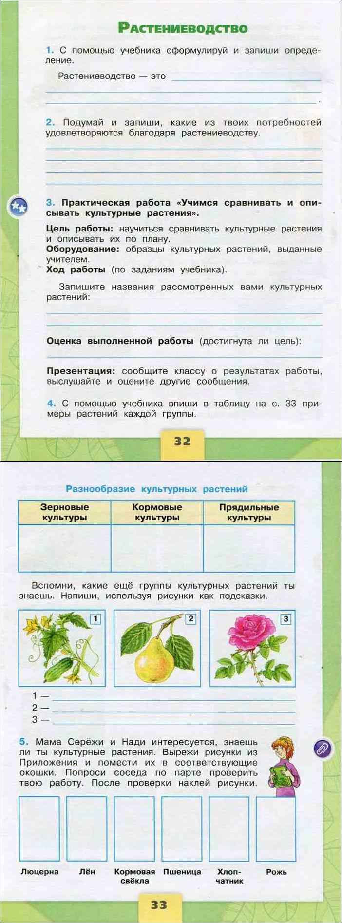 Сочинение про березу (описание) 2, 3, 4, 5 класс