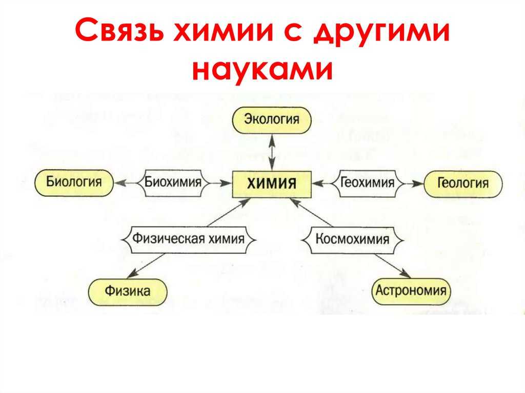 Наука ⭐️ биология: ее определение, значение и что она изучает