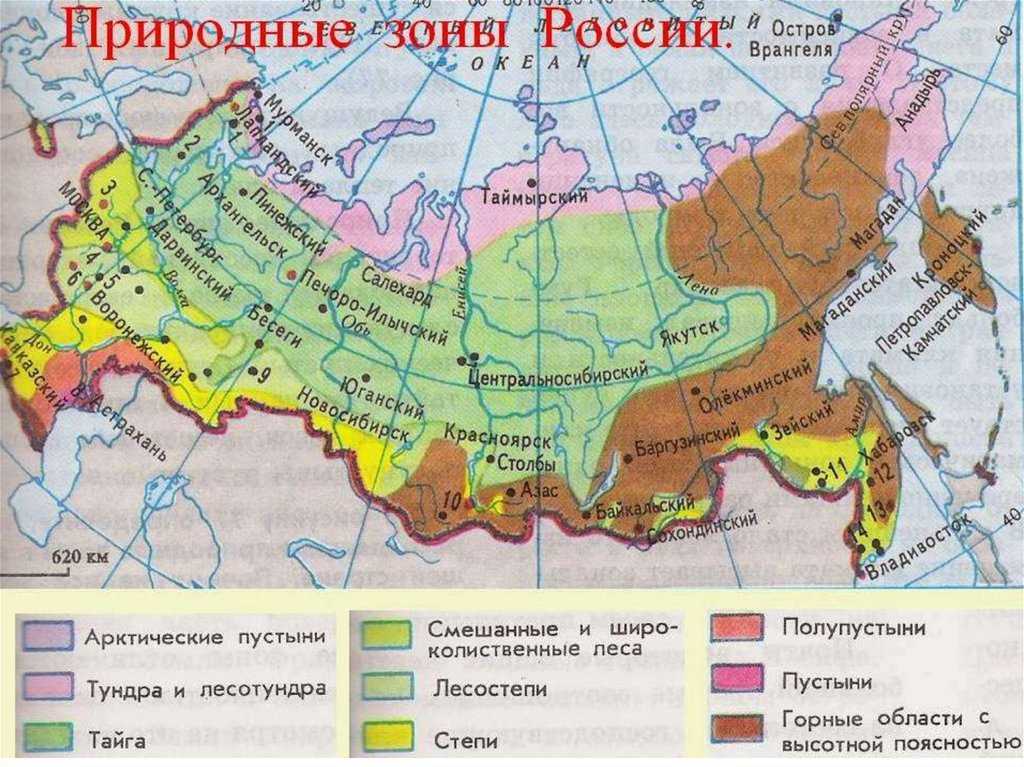 Доклад по географии 8 класс природа россии