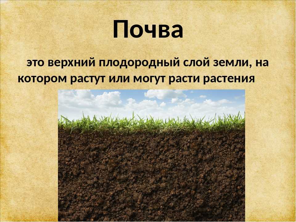 Все слои почвы по порядку в разрезе