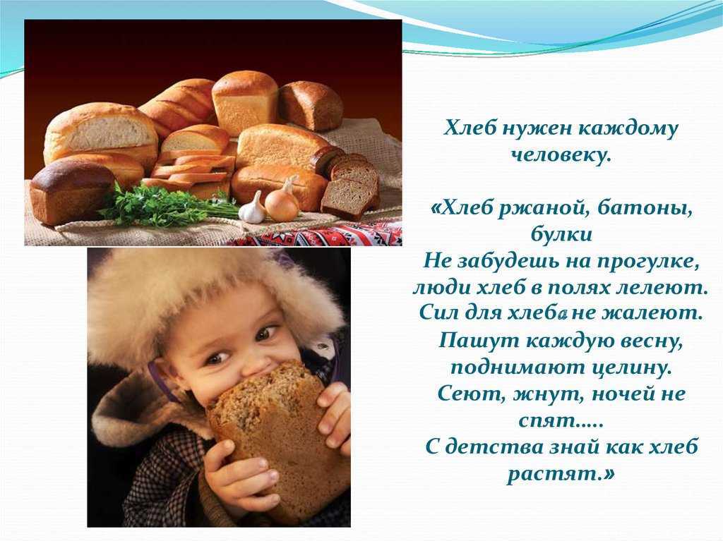 Мадина омарова вкус булочного хлеба краткое содержание