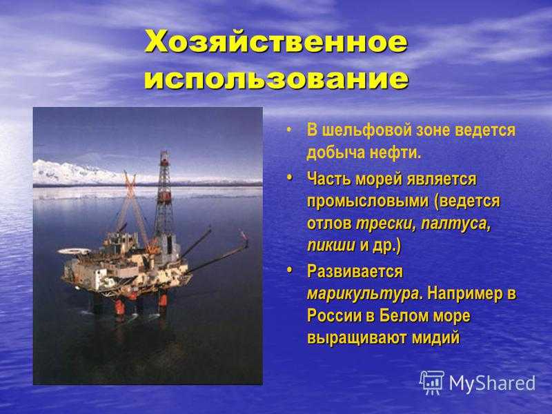 Хозяйственное использование баренцева моря очень широкое — разбираемся в сферах деятельности человека