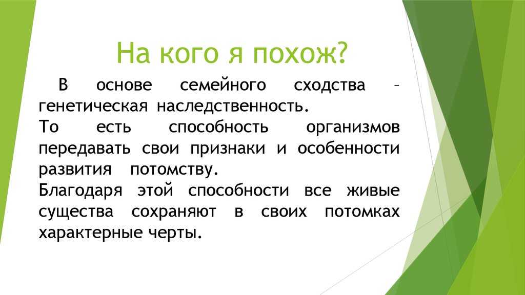 Проект "кто на кого похож" презентация, доклад, проект
