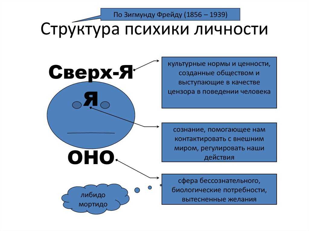 Фрейдизм в философии — основные положения и развитие