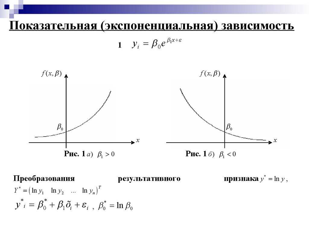 Что такое экспонента - узнай что такое