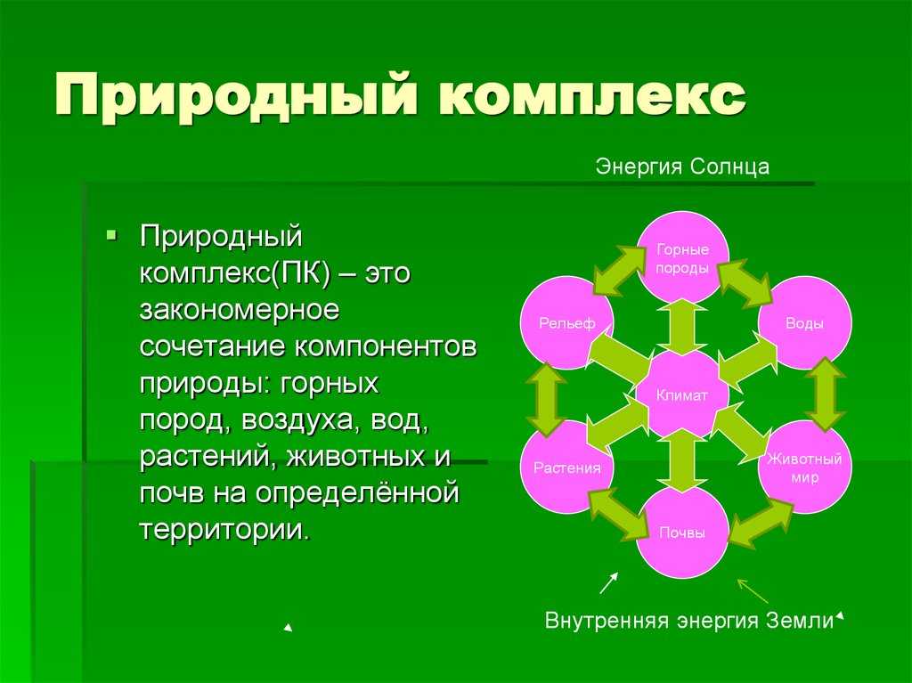 Что такое компоненты природы кратко