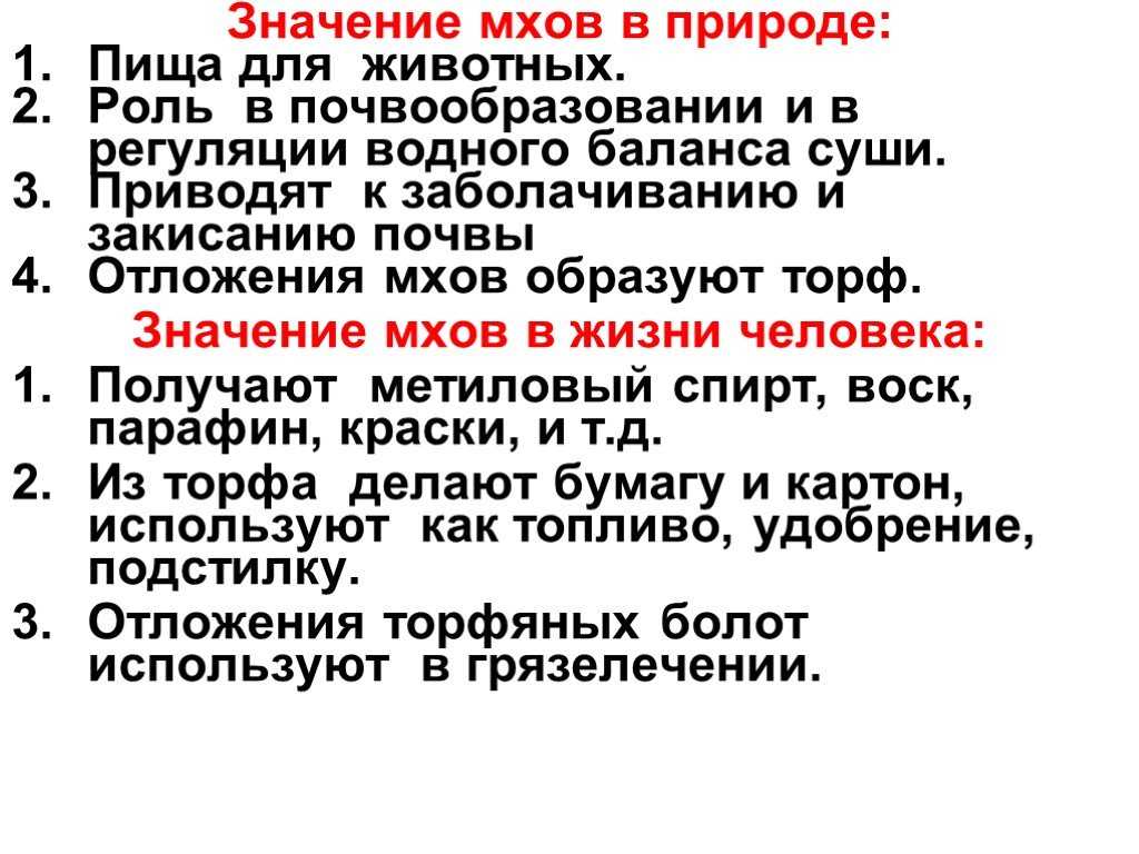 Мхи виды мхов с названиями и фото