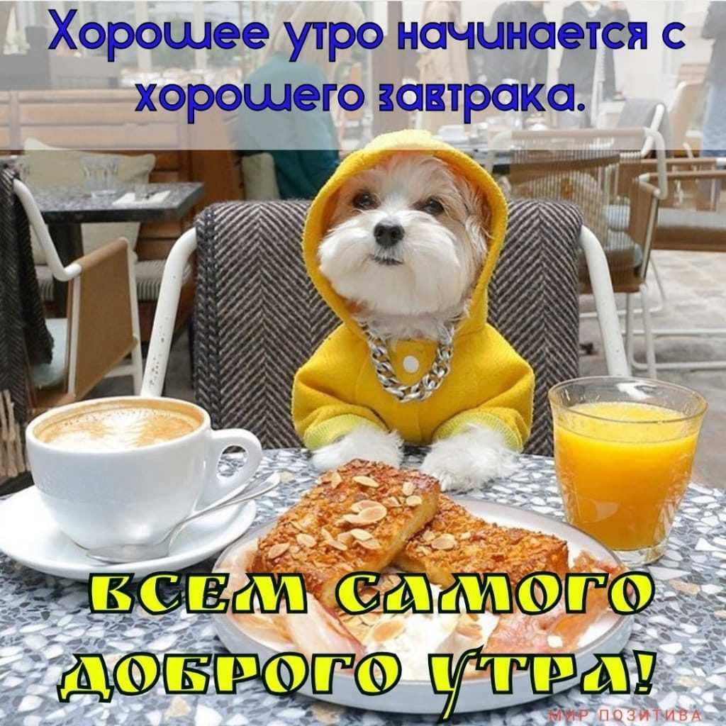 10 идей, что написать парню после того, как он сказал ‘доброе утро’
