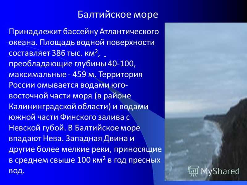 Какие животные обитают в балтийском море