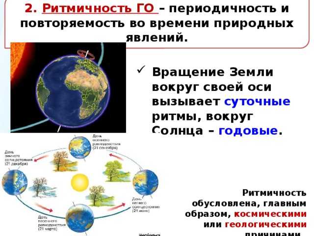 Урок 8: оболочка географическая - 100urokov.ru