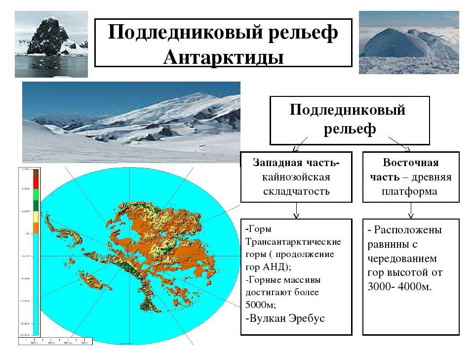 Сообщение про антарктиду доклад