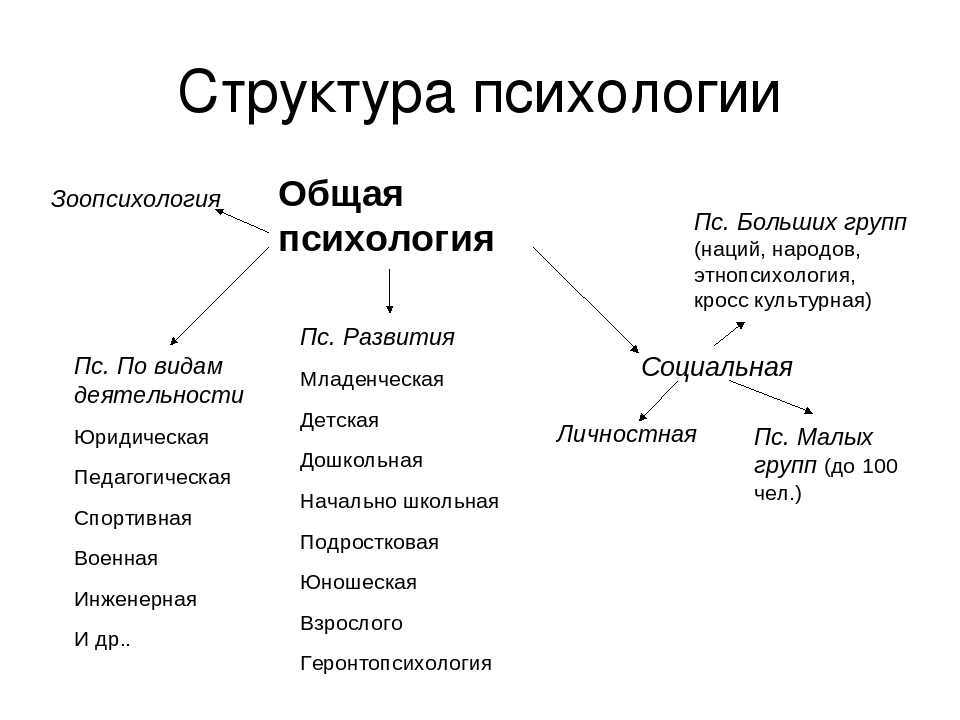 Разновидности психологии: какие виды психологии существуют и чем они отличаются
