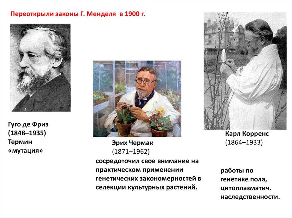 Эрих фон чермак