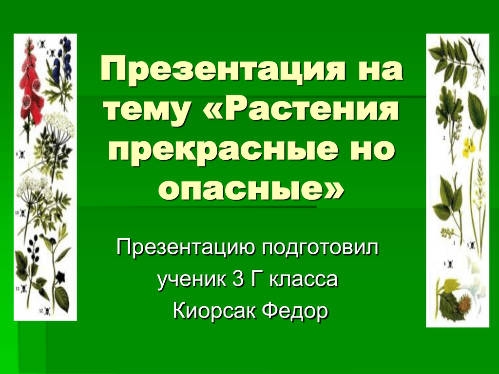 Сообщение по окружающему миру про ядовитые растения ? опасные виды
