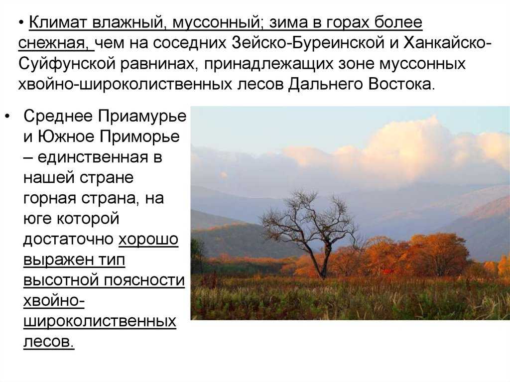 ✅ где муссоны. муссон - это явление, влияющее на климат целых материков. ветер муссон собшегие - ферма-тоцких.рф