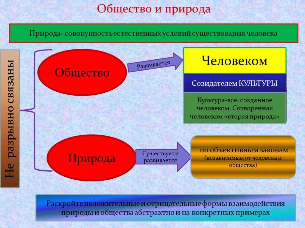Каковы связи и отношения общества как системы со средой?