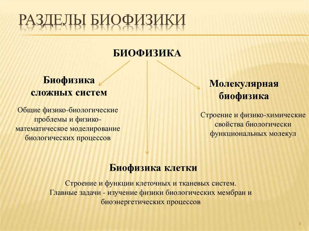 Биофизика — большая медицинская энциклопедия