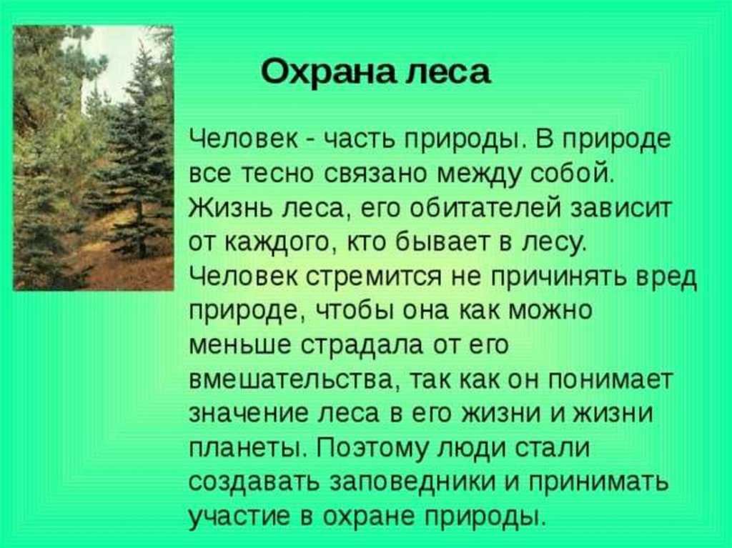 Презентация на тему: "естественные системы защиты организма. естественные системы защиты организма – это природные механизмы, направленные на обеспечение безопасности жизнедеятельности.". скачать бесплатно и без регистрации.