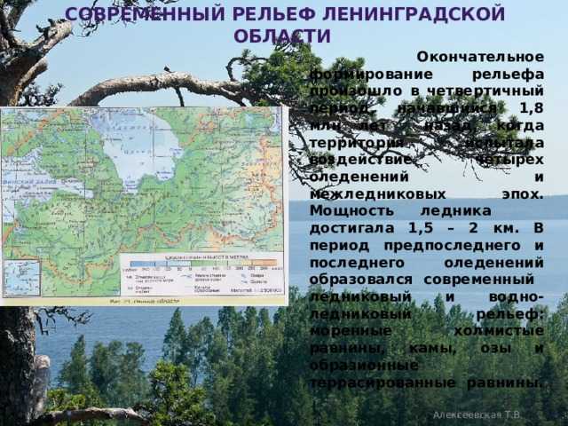 Рельеф ленинградской области кратко