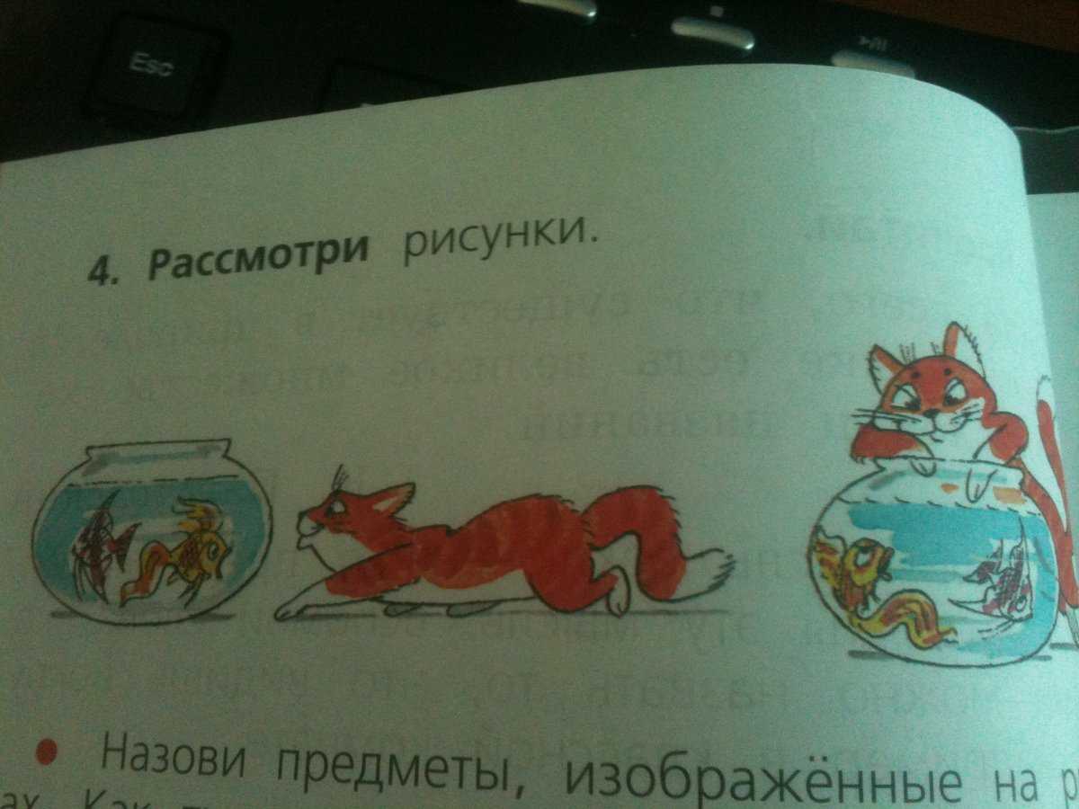 Понемногу: изложение текста е. чарушина "кот епифан" для 4 класса