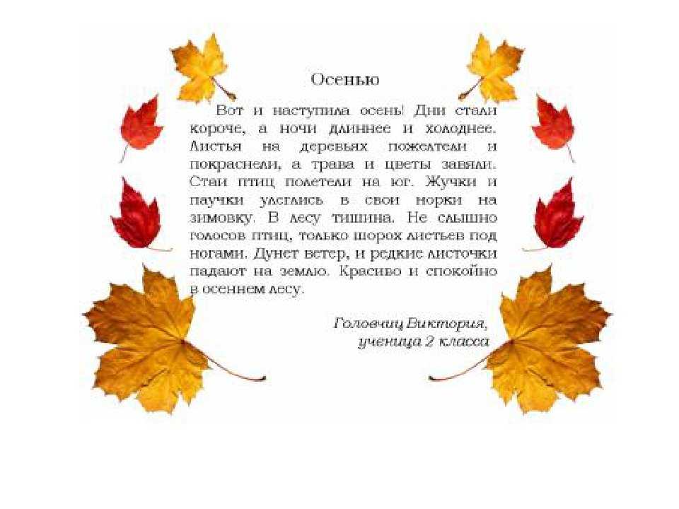 Сочинение на тему скоро лето 2, 3, 4 класс - лучшие сочинения