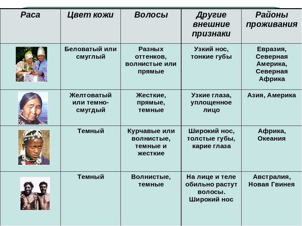 Чем страны мира отличаются друг от друга. чем отличаются народы друг от друга: внешние отличия, культура, страны, языки