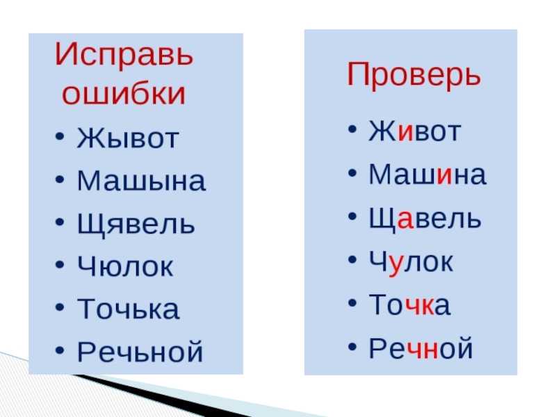 Орфограмма 3 класс русский: основные правила и примеры