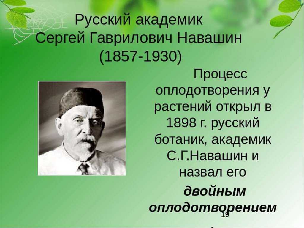 Який вклад в біологію зробив сергій навашин? - узнавалка.про