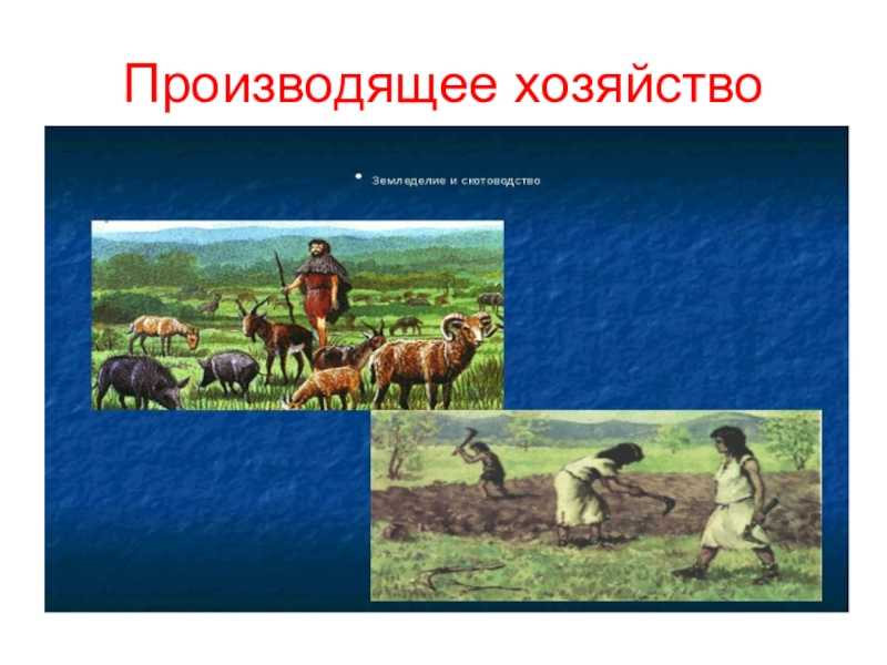 Присваивающее хозяйство и производящее хозяйство: разница и значение