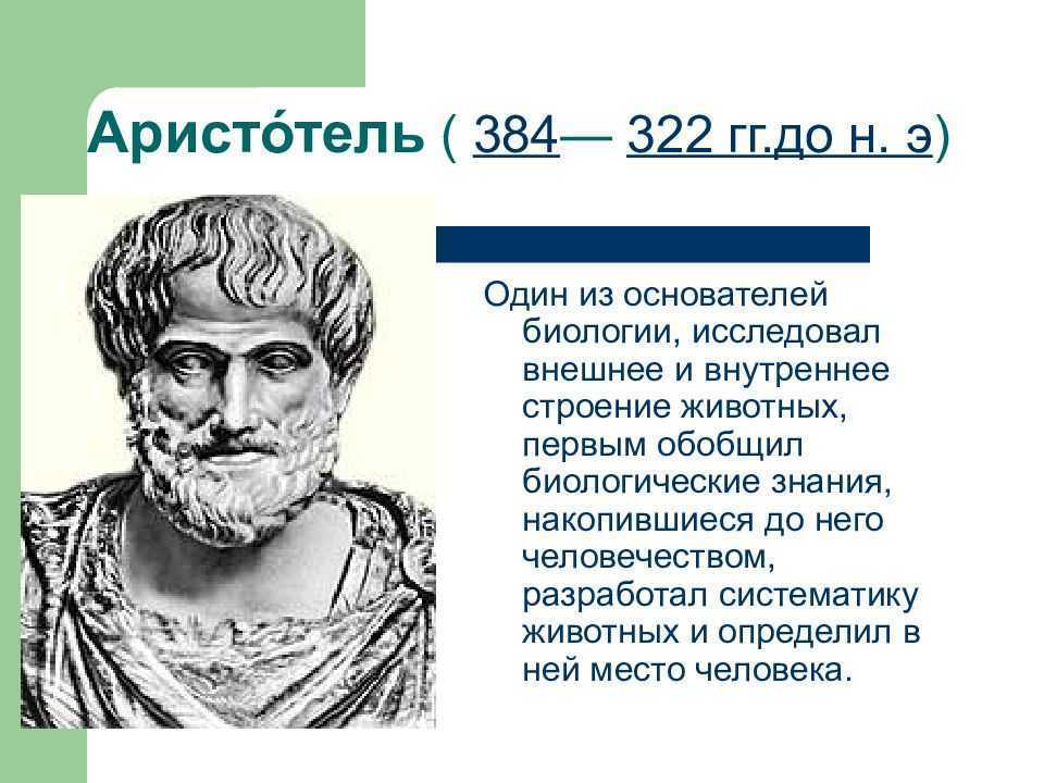 Краткая биография аристотеля самое главное