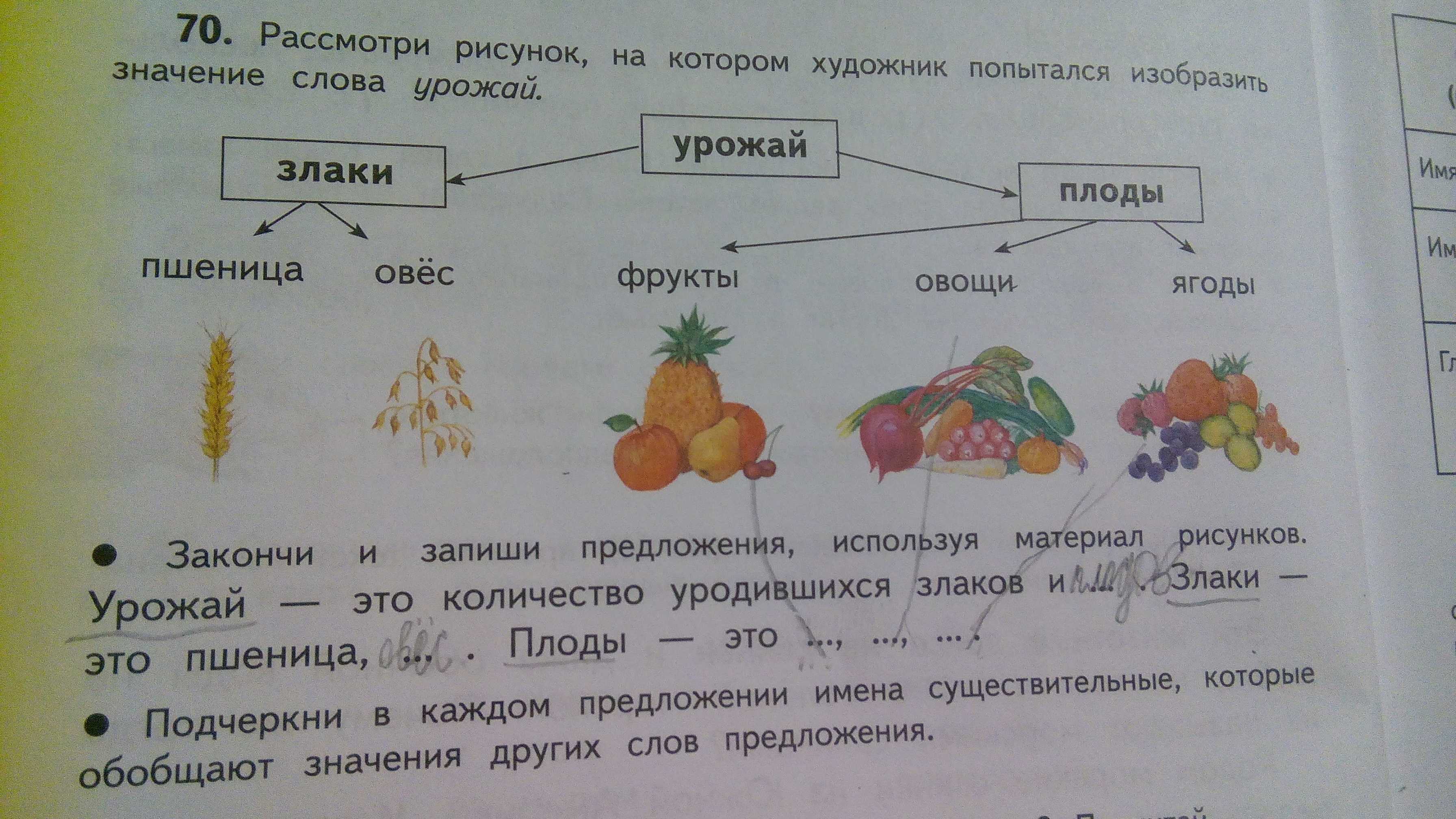Лексическое значение слова урожай