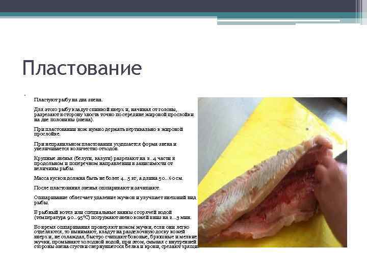 § 23. механическая обработка рыбы