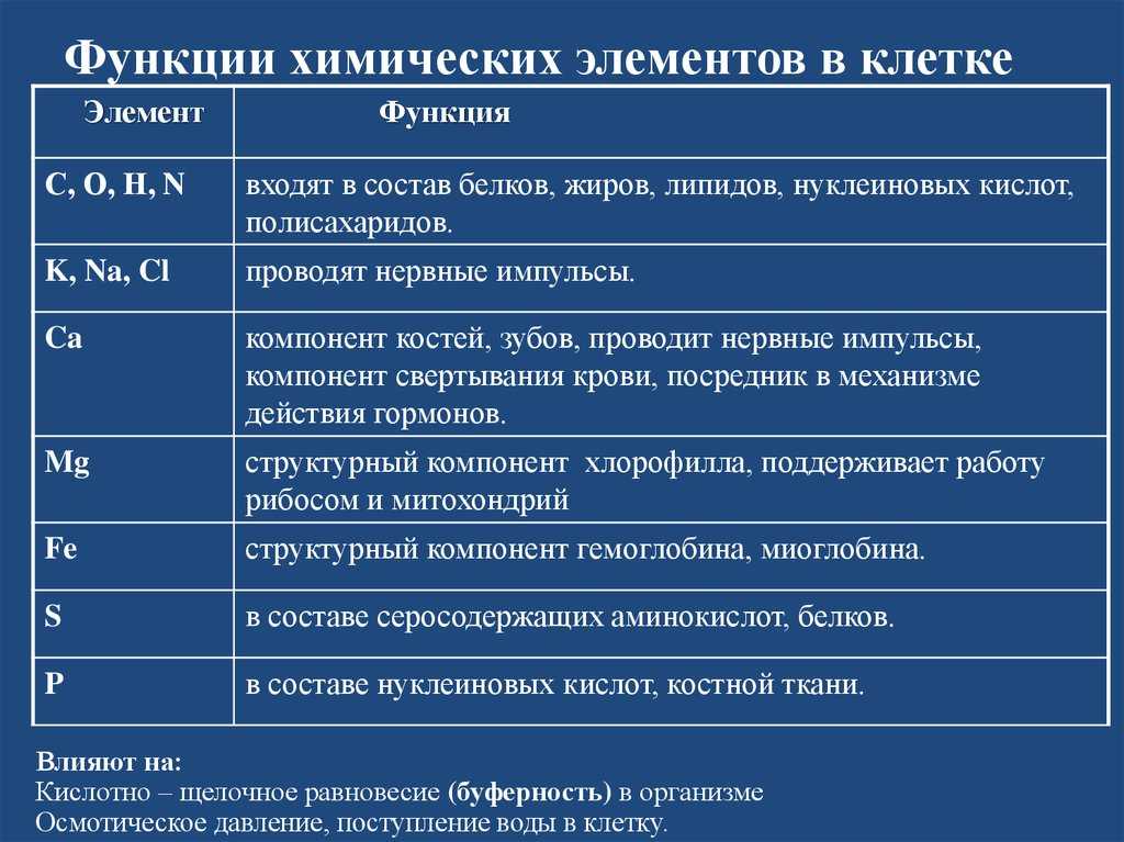 Роль макро и микроэлементов в организме человека: основные функции и значение микро и макроэлементов
