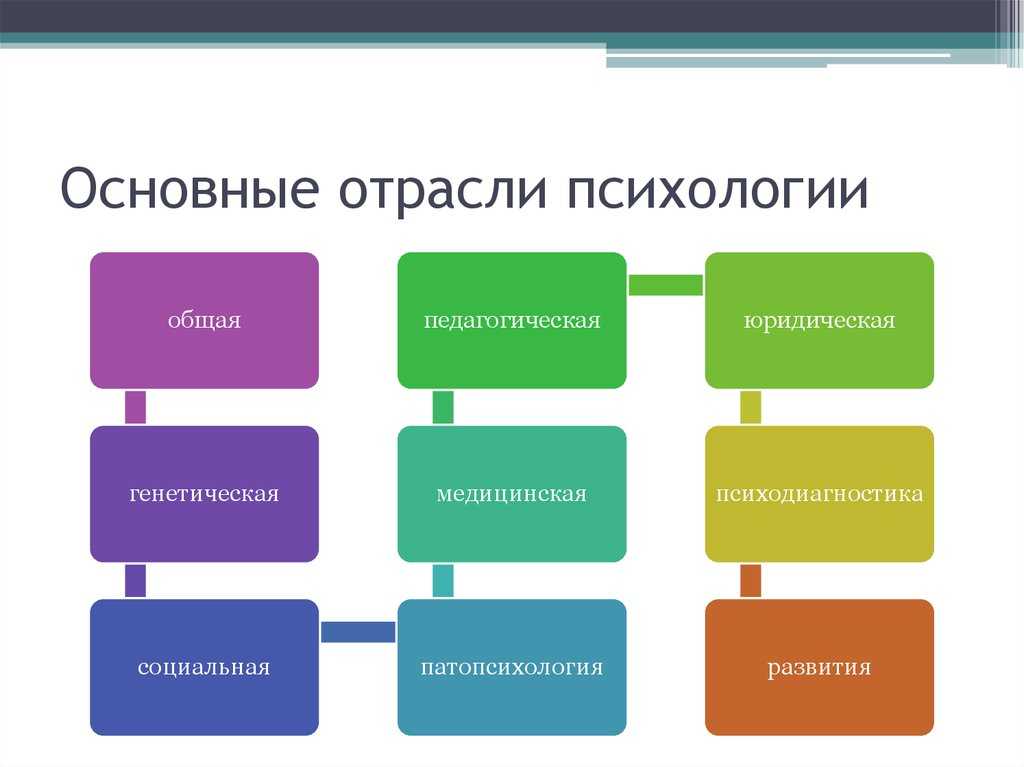 Профессия психолог: виды психологов, чем занимаются и где могут работать | сила лиса