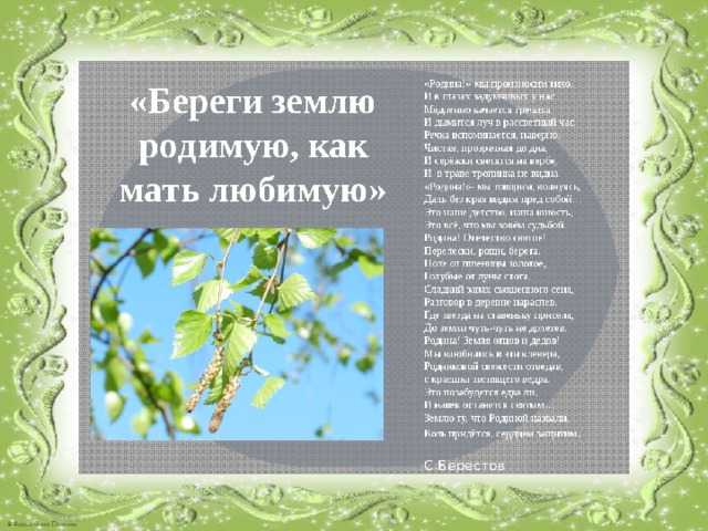 Презентация на тему "презентация к уроку однкнр тема берегите землю родимую,как мать любимую" 5 класс