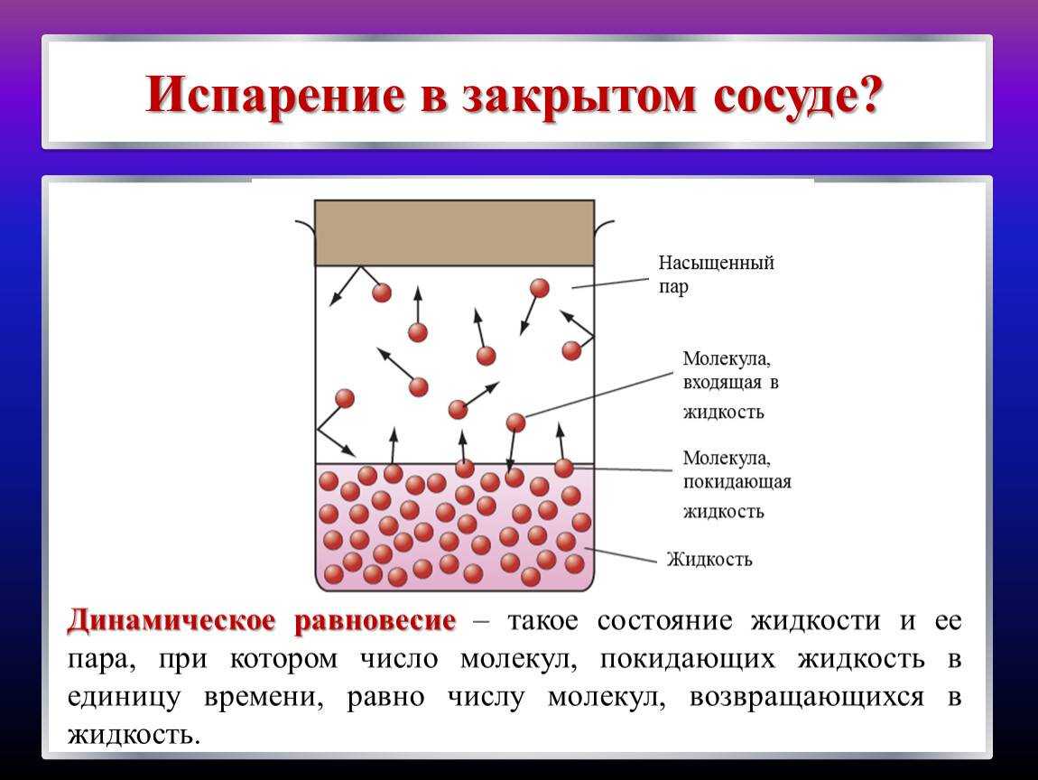 Почему говорят, что насыщенный пар находится в динамическом равновесии