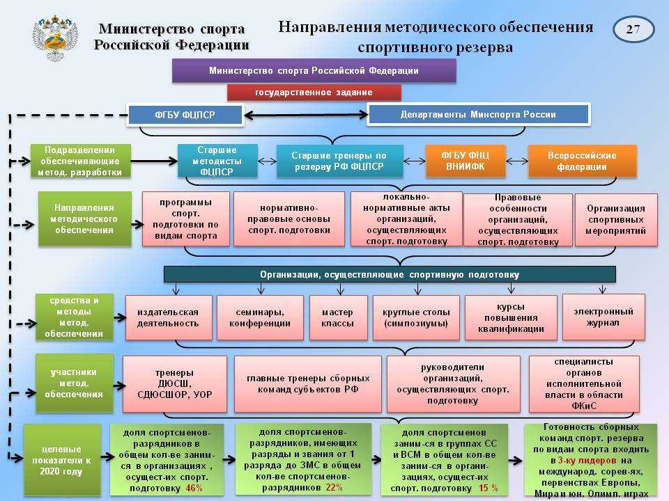 Спортивная школа или секция: что выбрать?