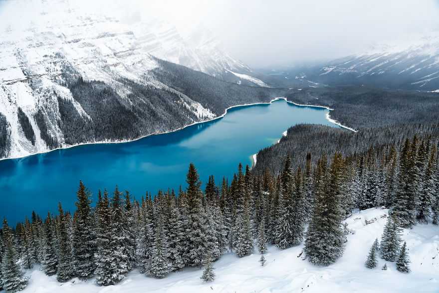 Северная америка