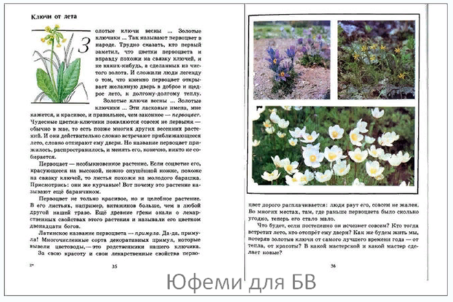 Растения из книги зеленые страницы. Книга зелёные страницы 3 класс. Зеленые страницы первоцветы. Первоцветы в книге зеленые страницы.